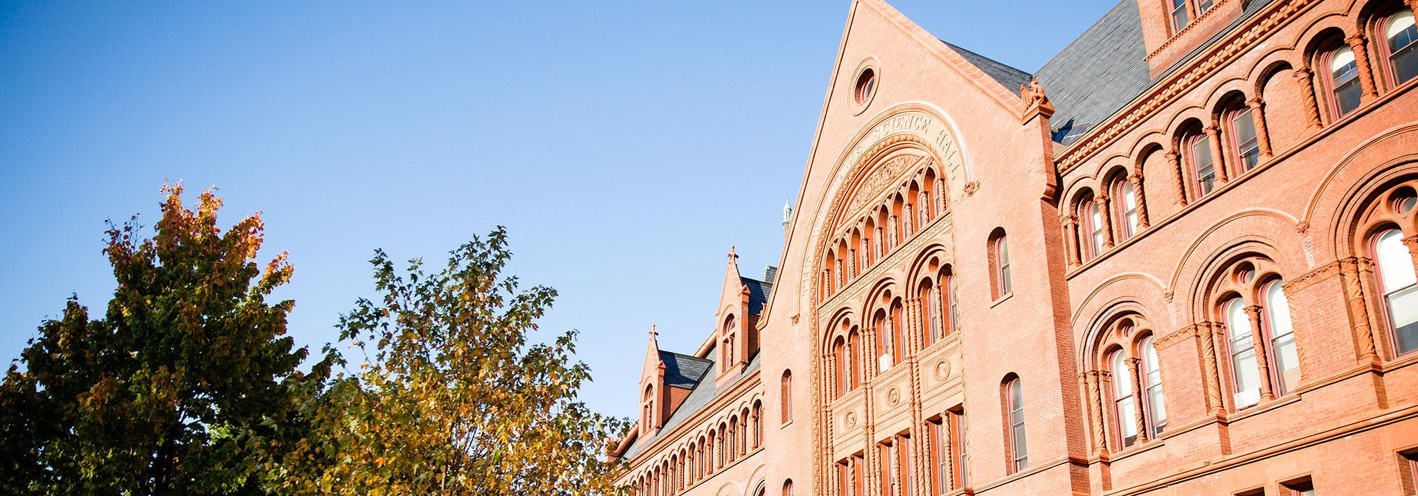 Universidade no Exterior CI Intercâmbio e Viagem