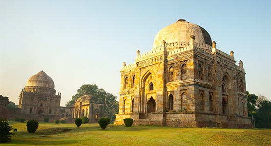 00206526.jpg?w=555&fit=crop&auto=compress%2Cformat