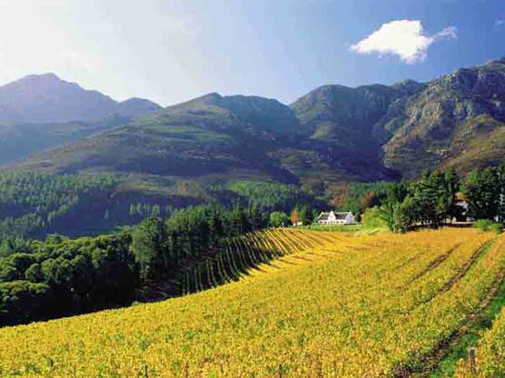 00110412.jpg?w=555&h=416&fit=crop