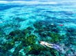 Grande Barreira de Coral. Cairns, Austrália
