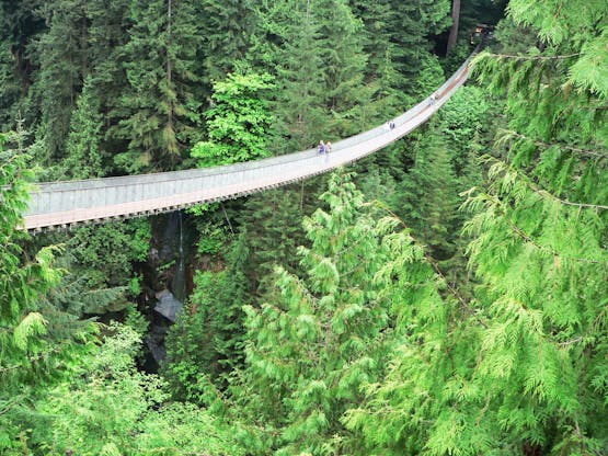 Ponte suspensa de Capilano Ponte suspensa de Capilano