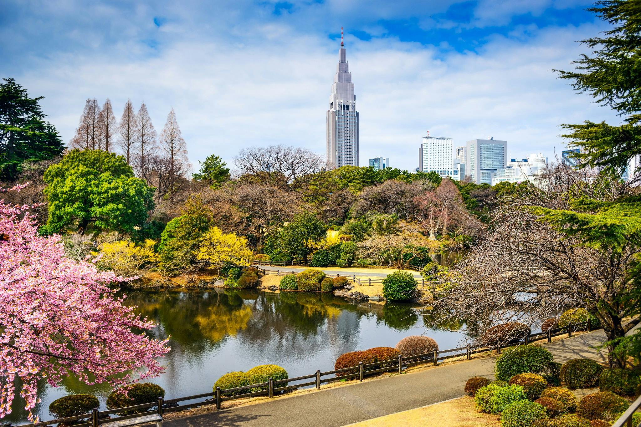 Resultado de imagem para tokyo japÃ£o